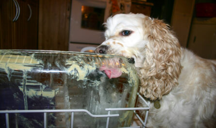 Tablety do umývačky sú zázračné – viete, čo všetko dokážu?